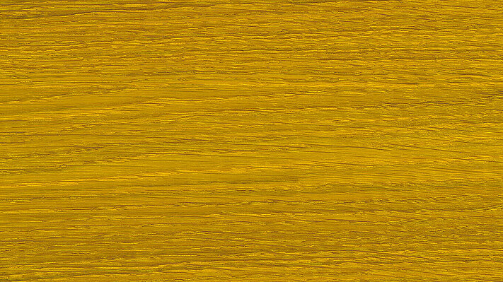 19 Citrus Hesse COLOR-SOLID-OIL in colour tone "Citrus"