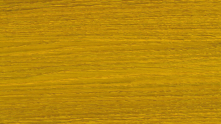 19 Citrus Hesse COLOR-SOLID-OIL in colour tone "Citrus"