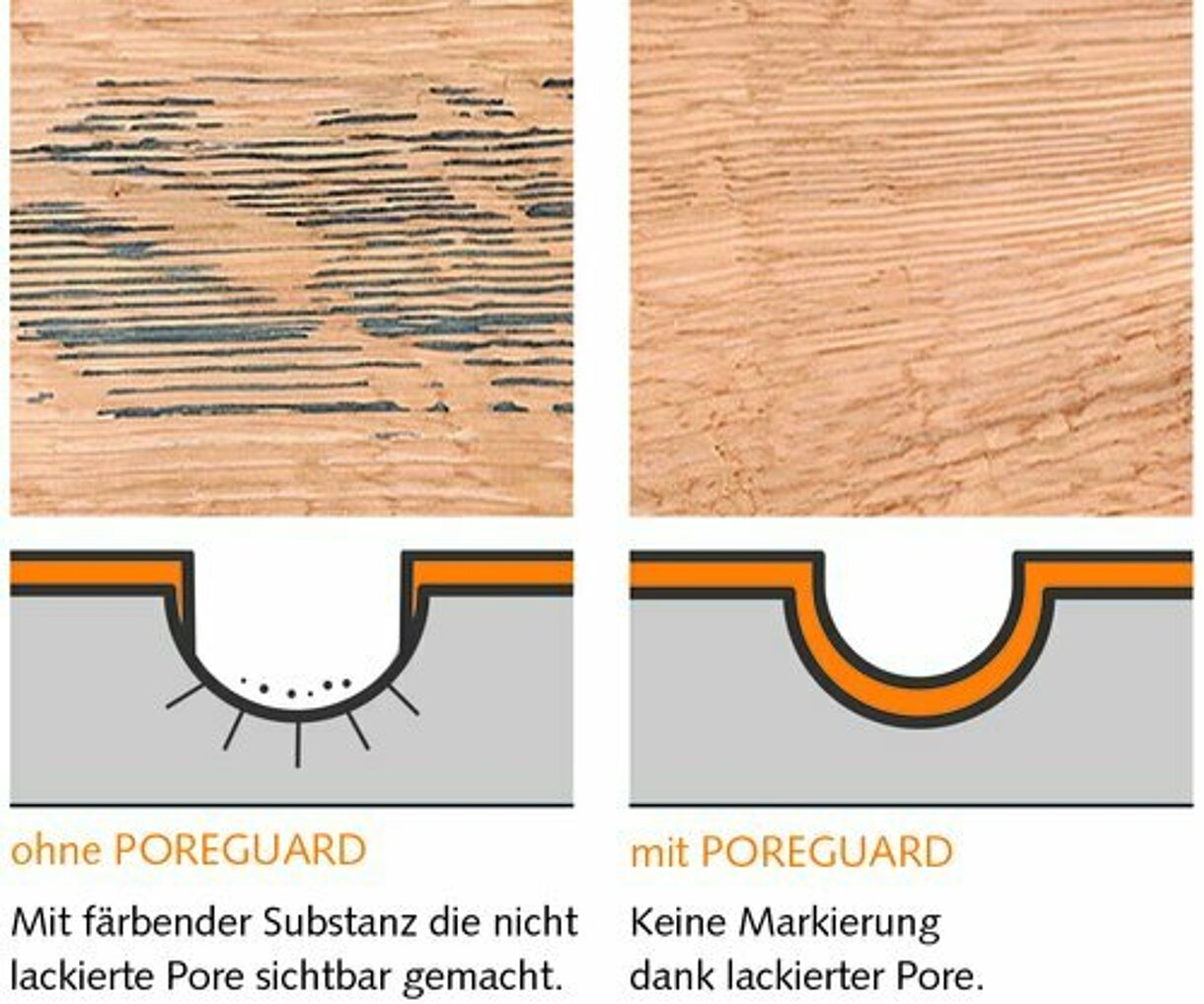 Ce schéma permet de comparer la protection des pores sans et avec POREGUARD 