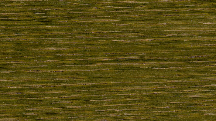 Colour tone BG 20013 on oak